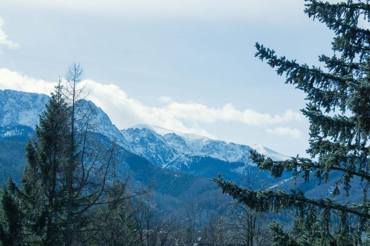 Aparthotel Delta Zakopane Exteriér fotografie